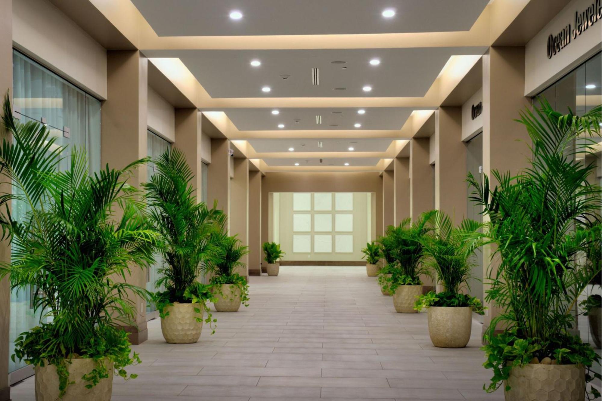 Jw Marriott St Maarten Beach Resort & Spa Dawn Beach Exterior foto